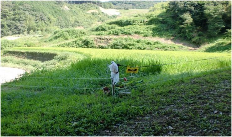 鳥獣被害対策 電気防護柵